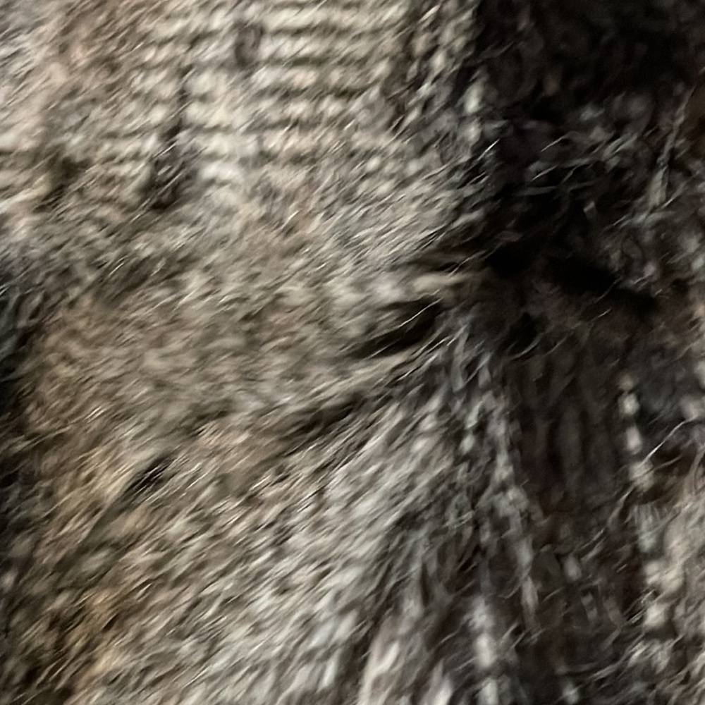 New Addition- NWT- Women’s Fur Vest - Picture 6 of 8